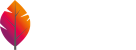 Logo da Digital Brazil Marketing
